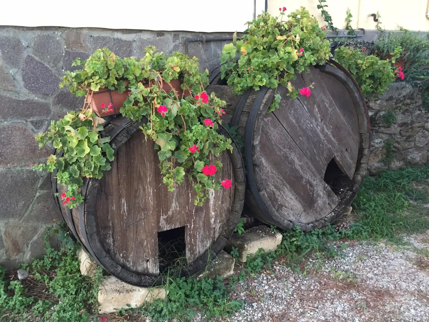 Agriturismo Poggio Pistolese Tiere