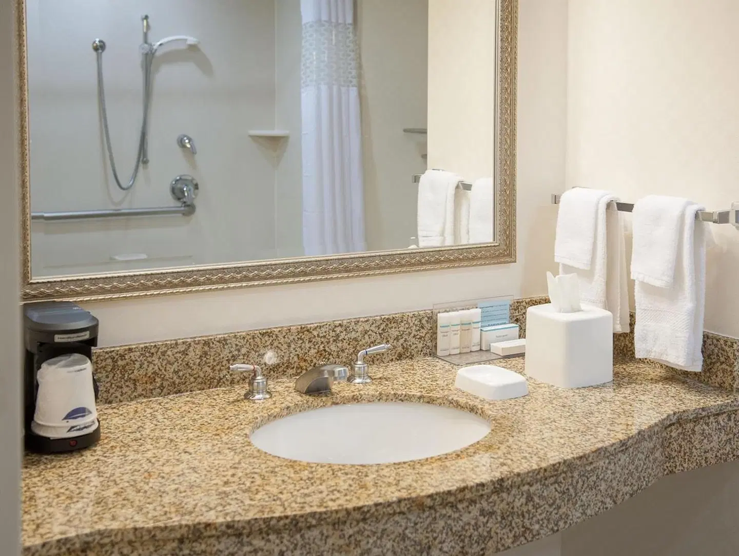 Hampton Inn & Suites Mobile - Downtown Historic District Badezimmer