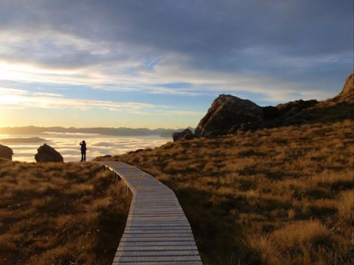 Fiordland Lodge LANDSCAPE