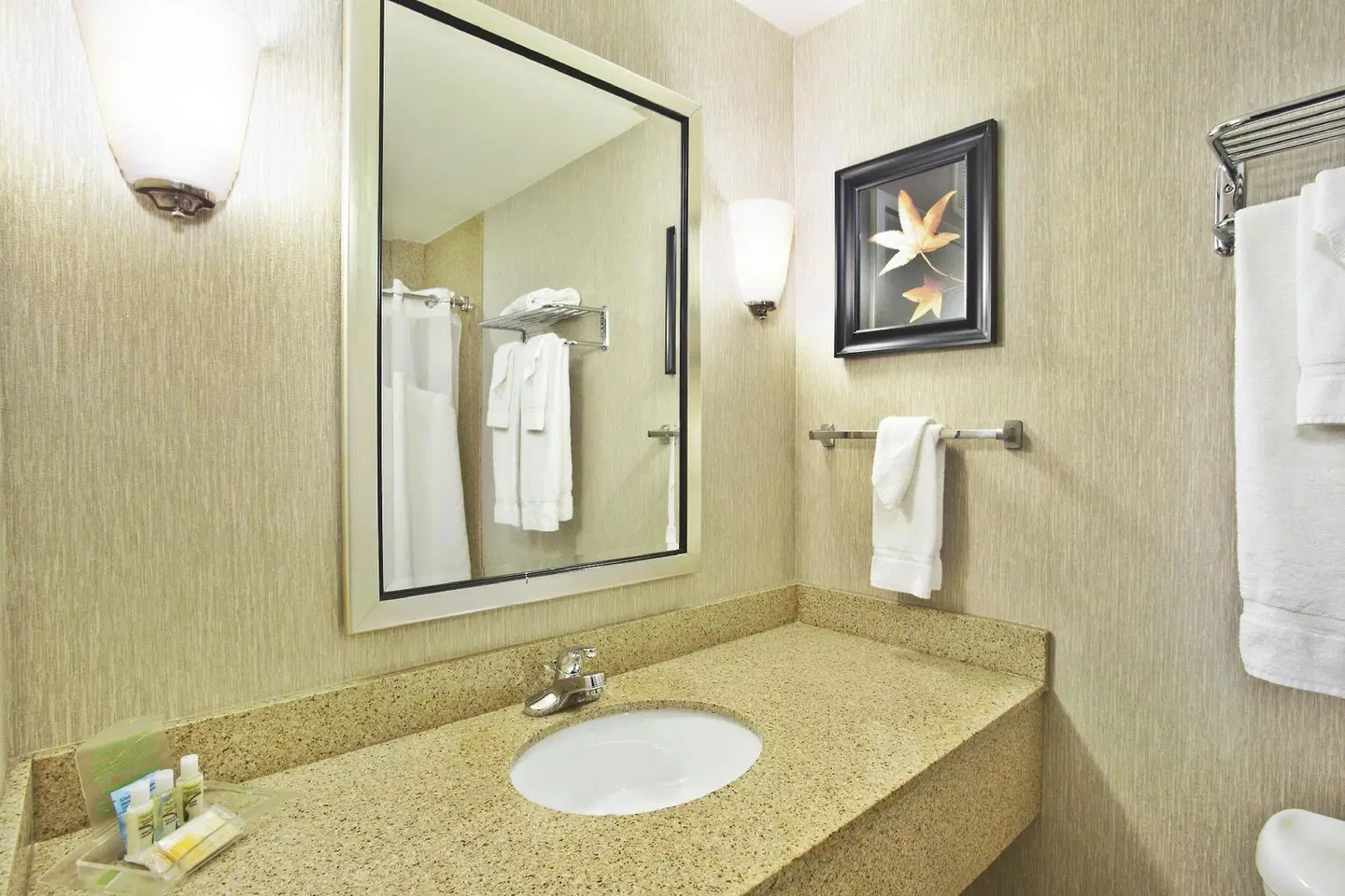 Holiday Inn & Suites Green Bay Stadium by IHG Badezimmer