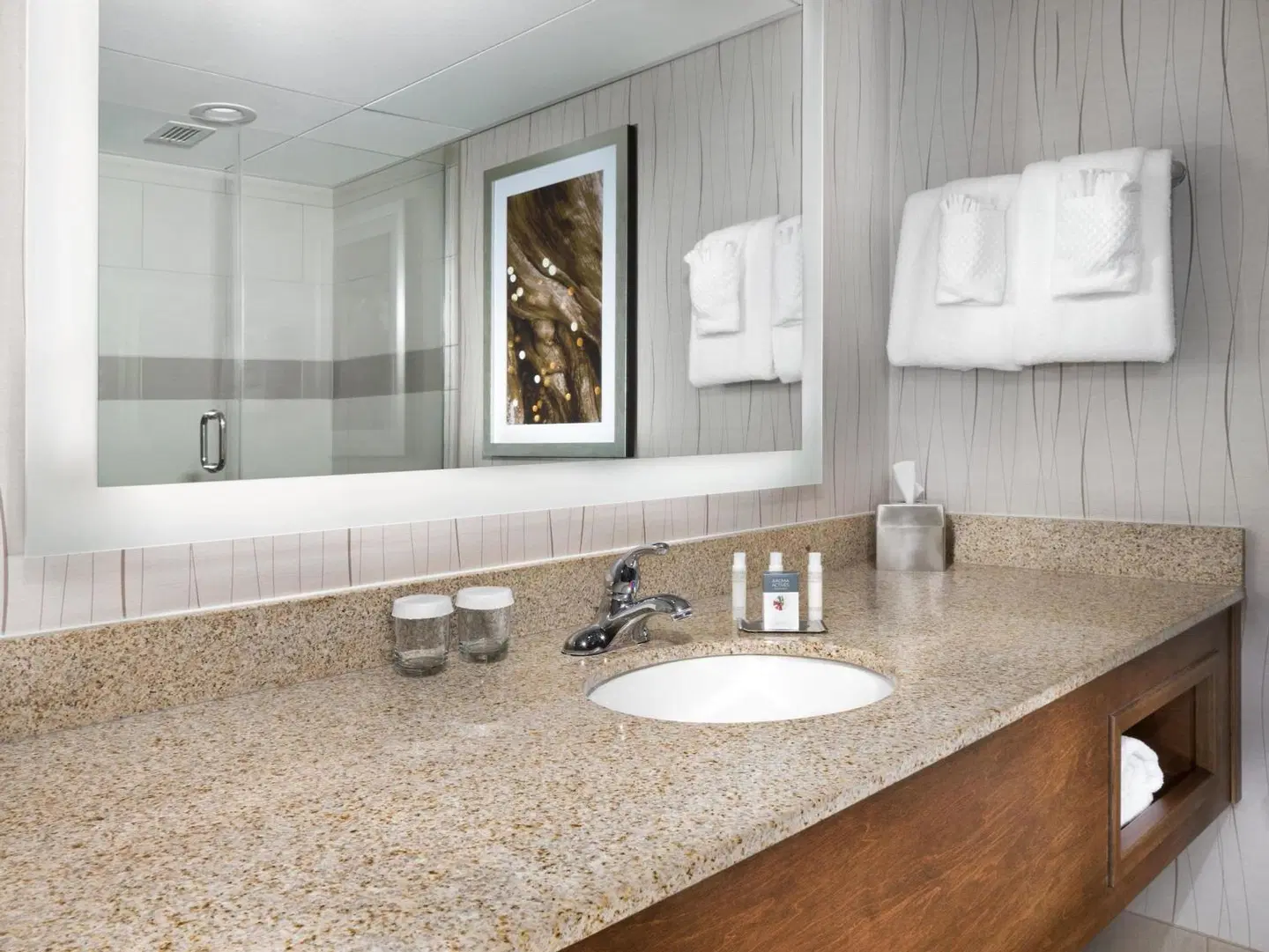 DoubleTree by Hilton Hotel Lawrence Badezimmer