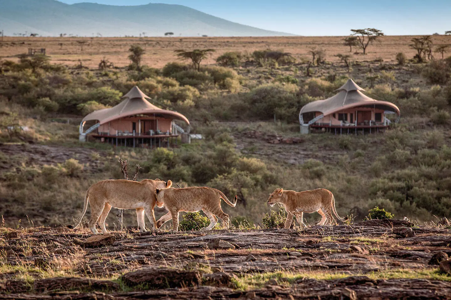 Mahali Mzuri Tiere