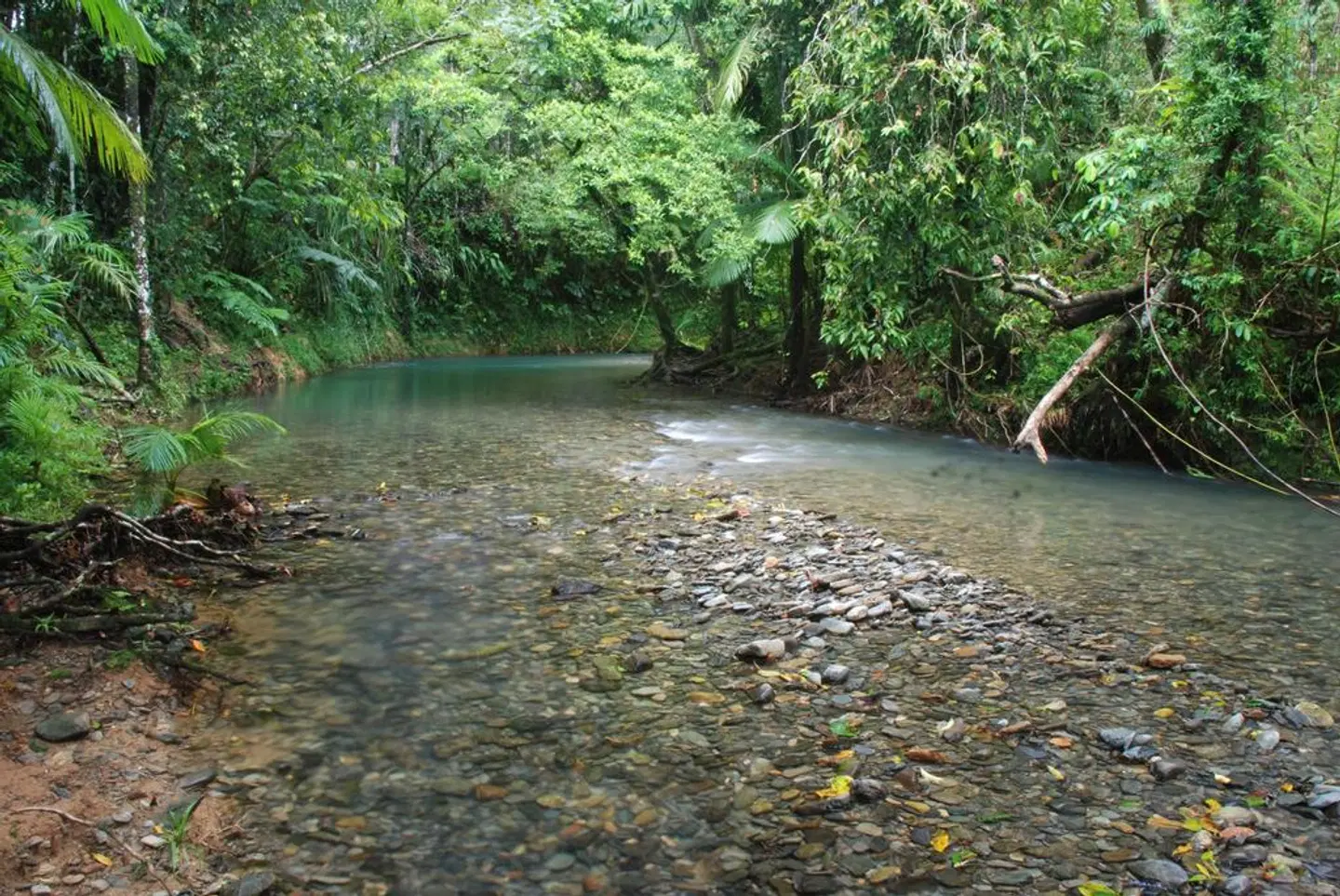 Heritage Lodge In The Daintree Garten