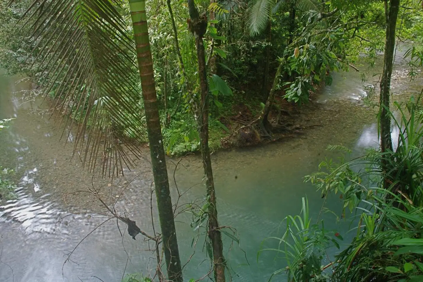 Heritage Lodge In The Daintree LANDSCAPE