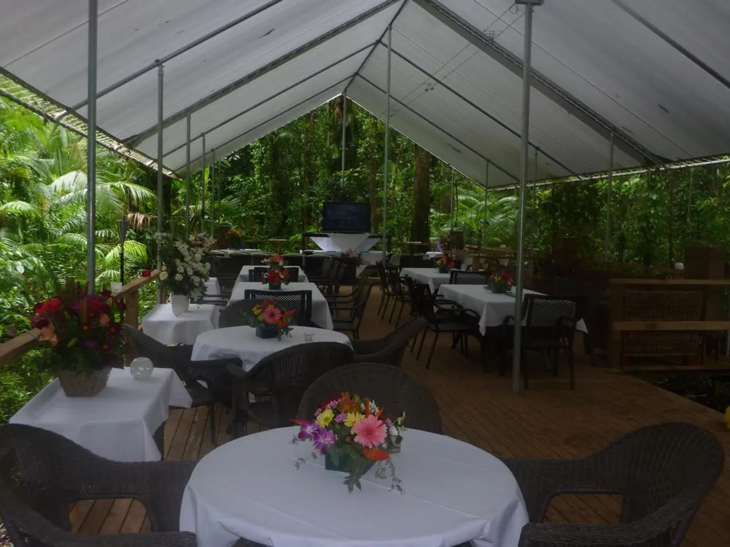 Heritage Lodge In The Daintree Terrasse