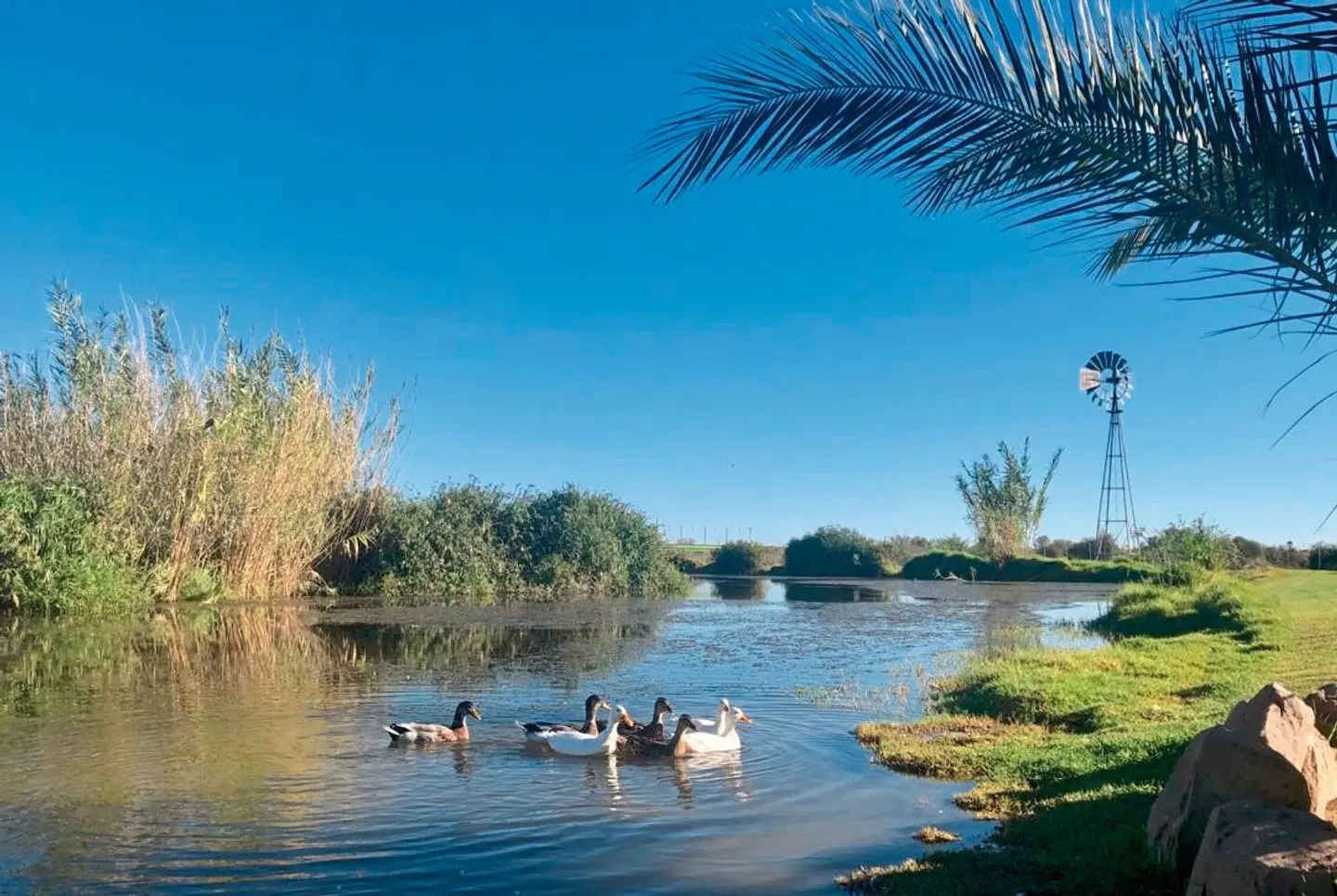 Burgsdorf Guest Farm Strand