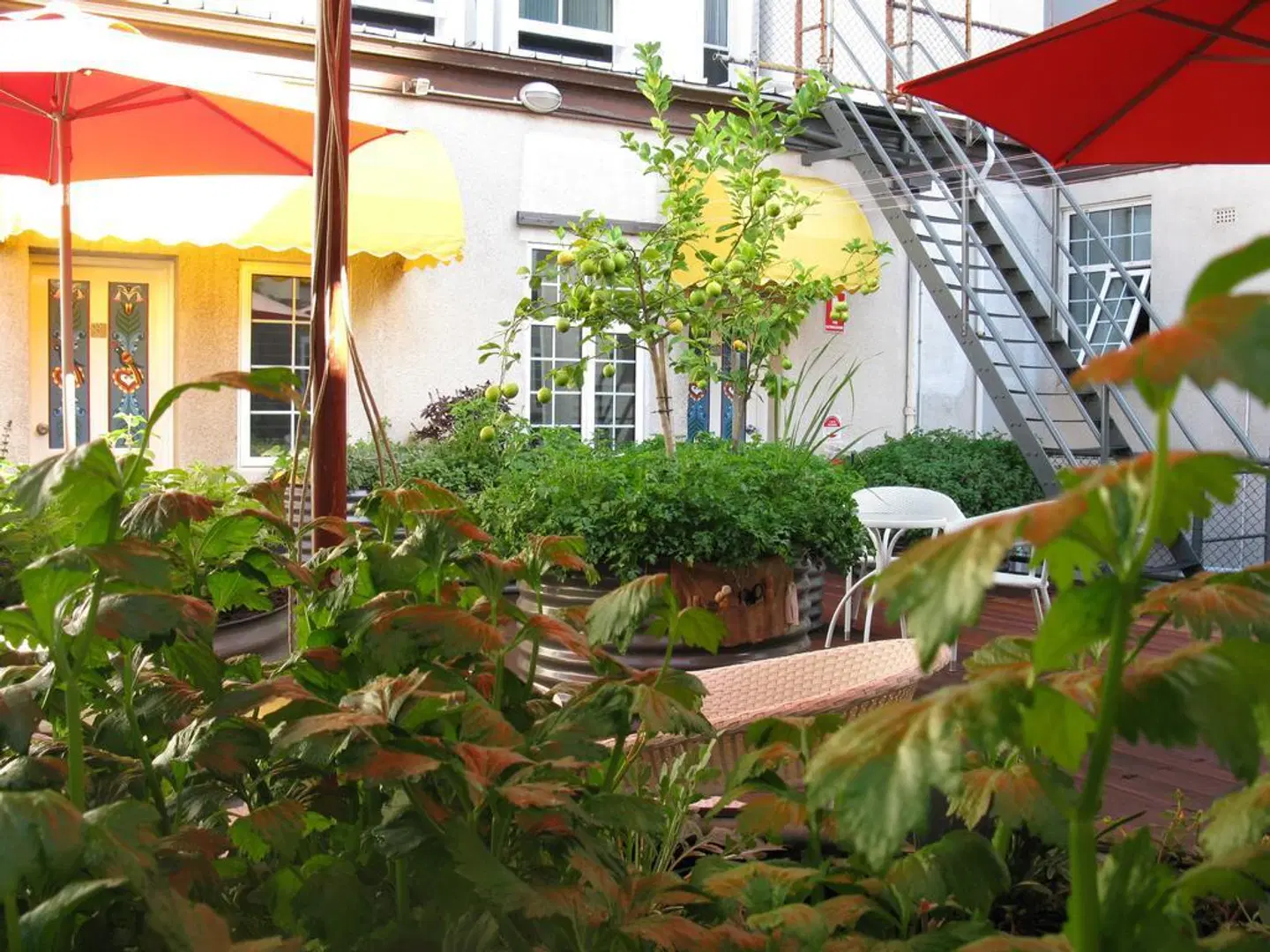 European Hotel Garten