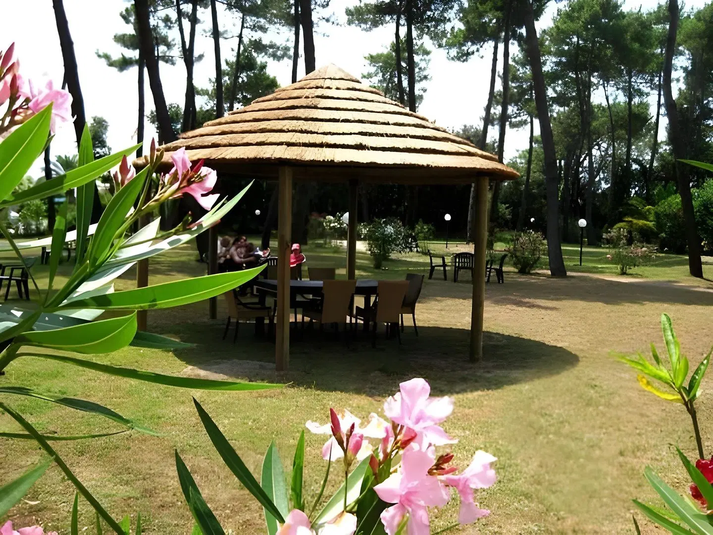 Hotel Villa Elsa Garten