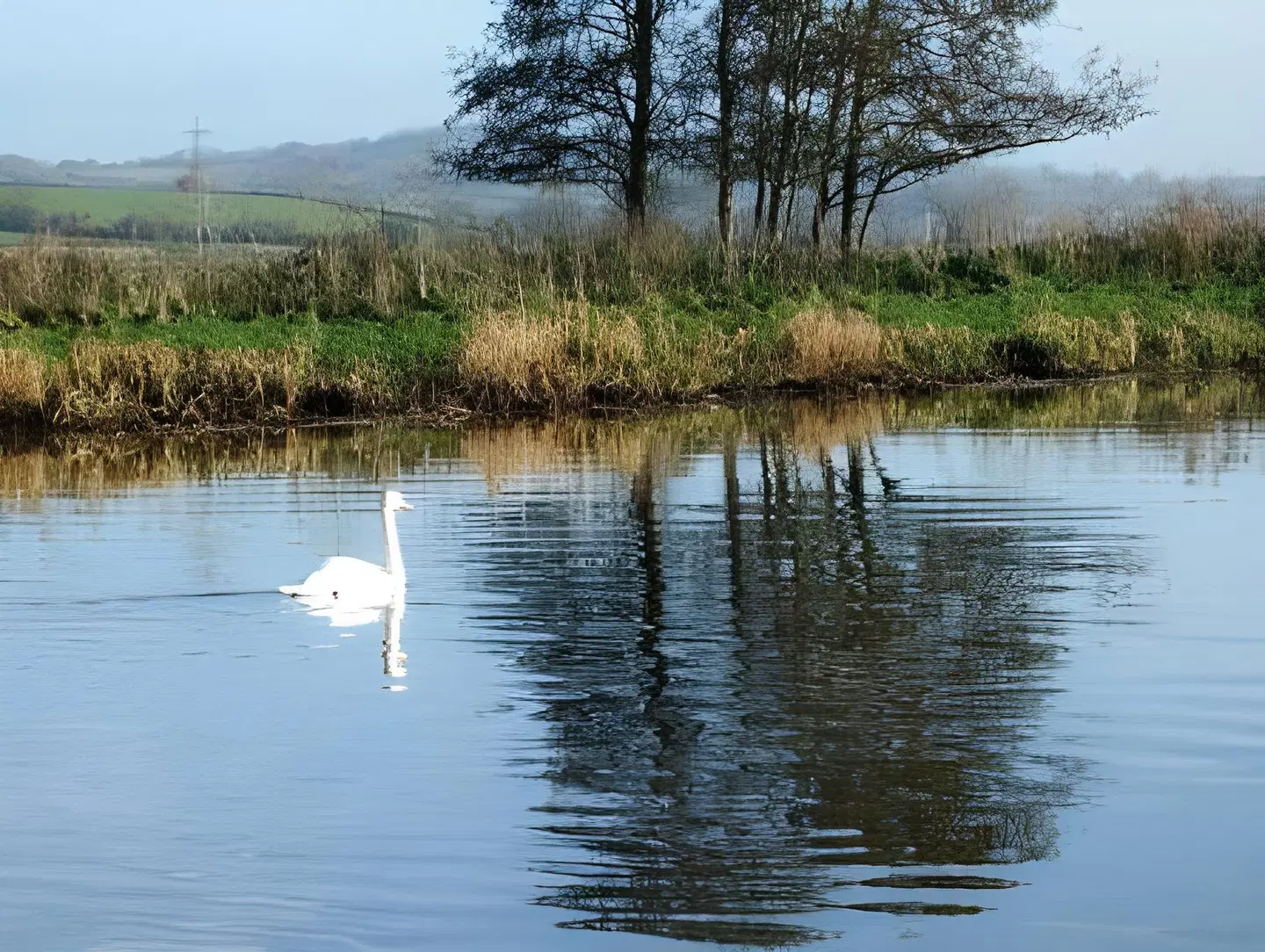 The Bower Inn LANDSCAPE