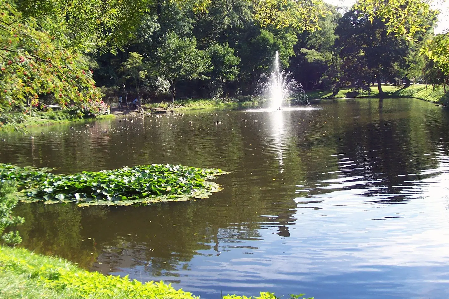 Best Western Hotel Altenburger Land LANDSCAPE