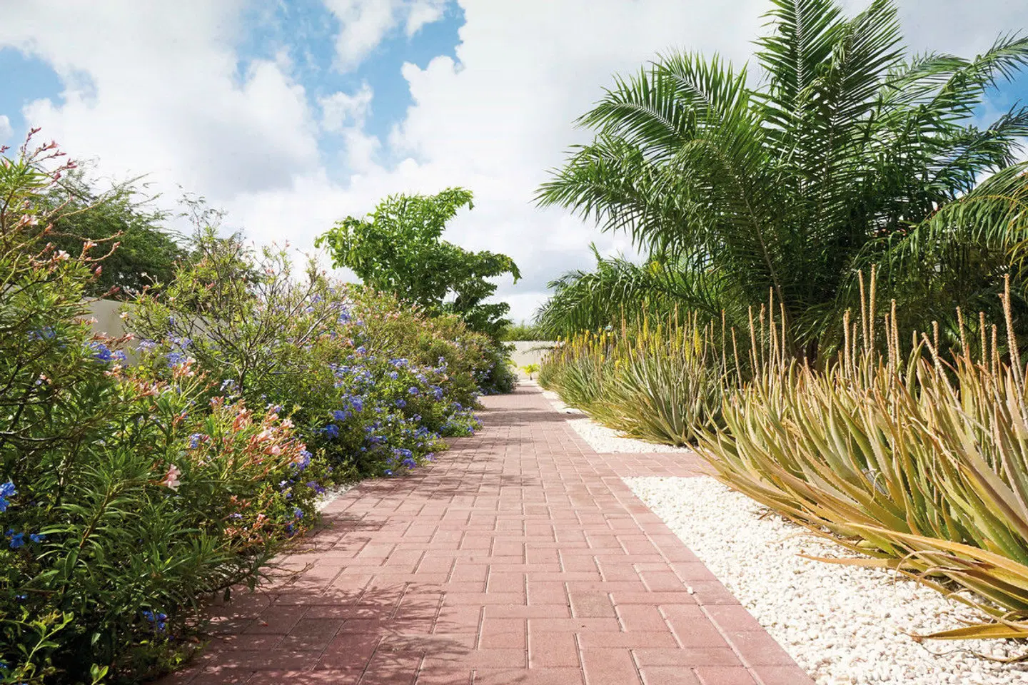 ABC Resort Curaçao Garten