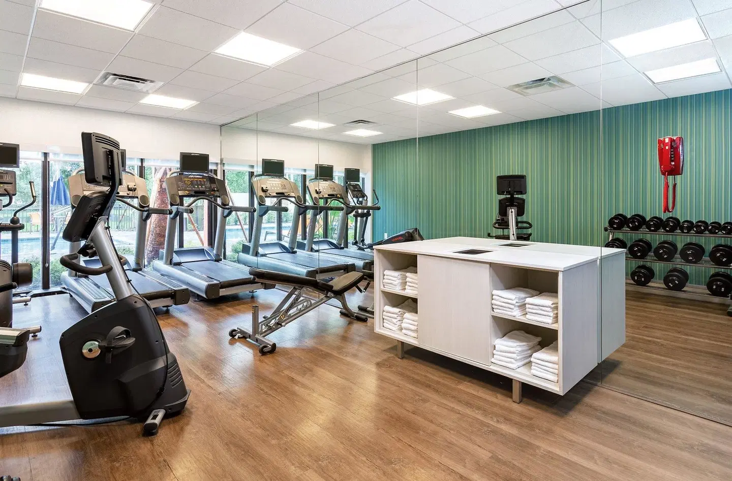 Holiday Inn Express Tampa-Brandon by IHG SPORTS_AND_LEISURE