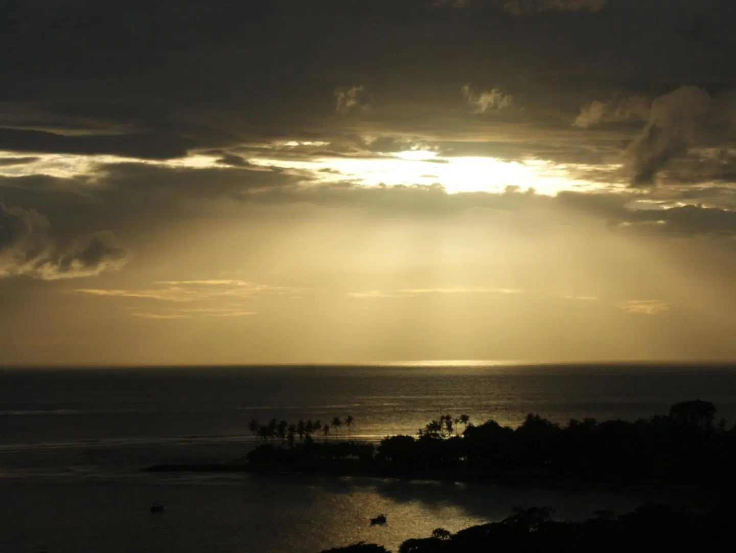 Villa Buah LANDSCAPE