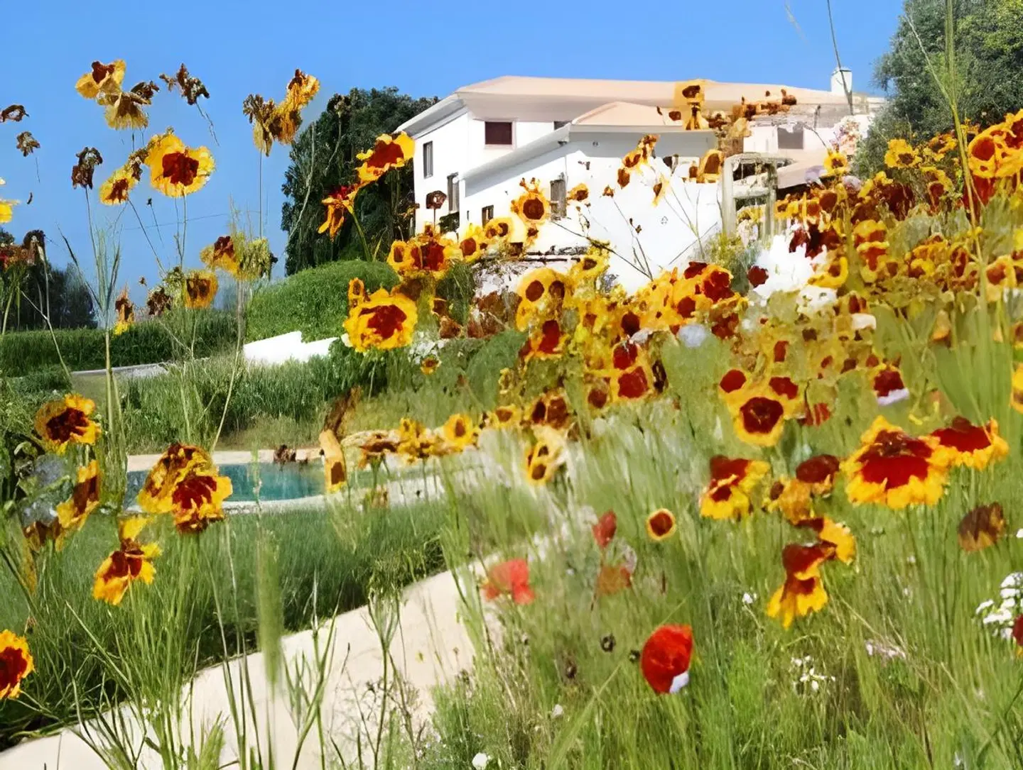 Quinta Do Sobral LANDSCAPE