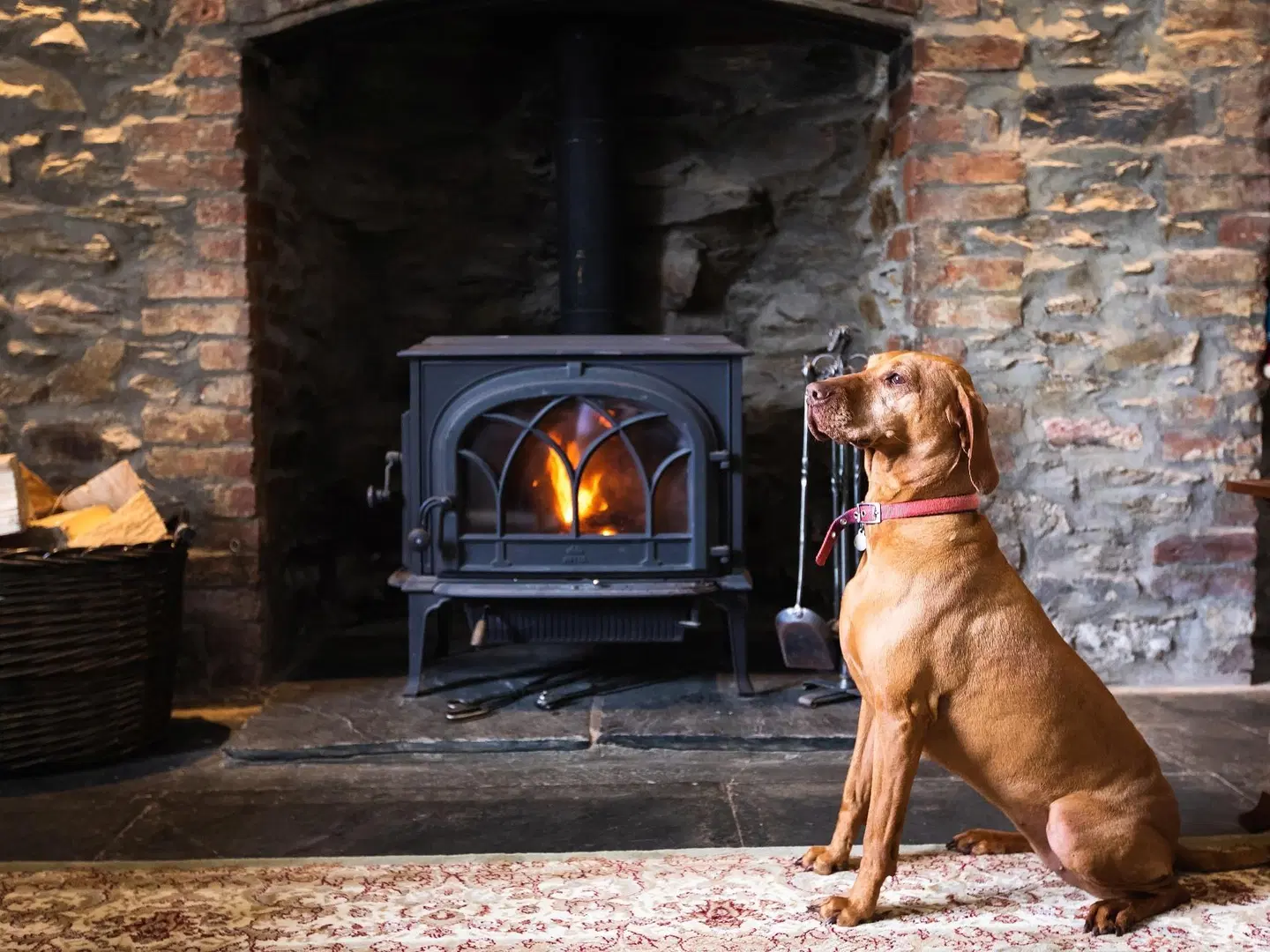 Pengelly Farmhouse B&B Tiere