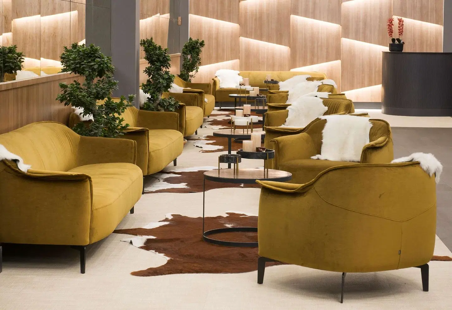 Radisson Blu Hotel, Mount Erciyes LOUNGE_LOBBY