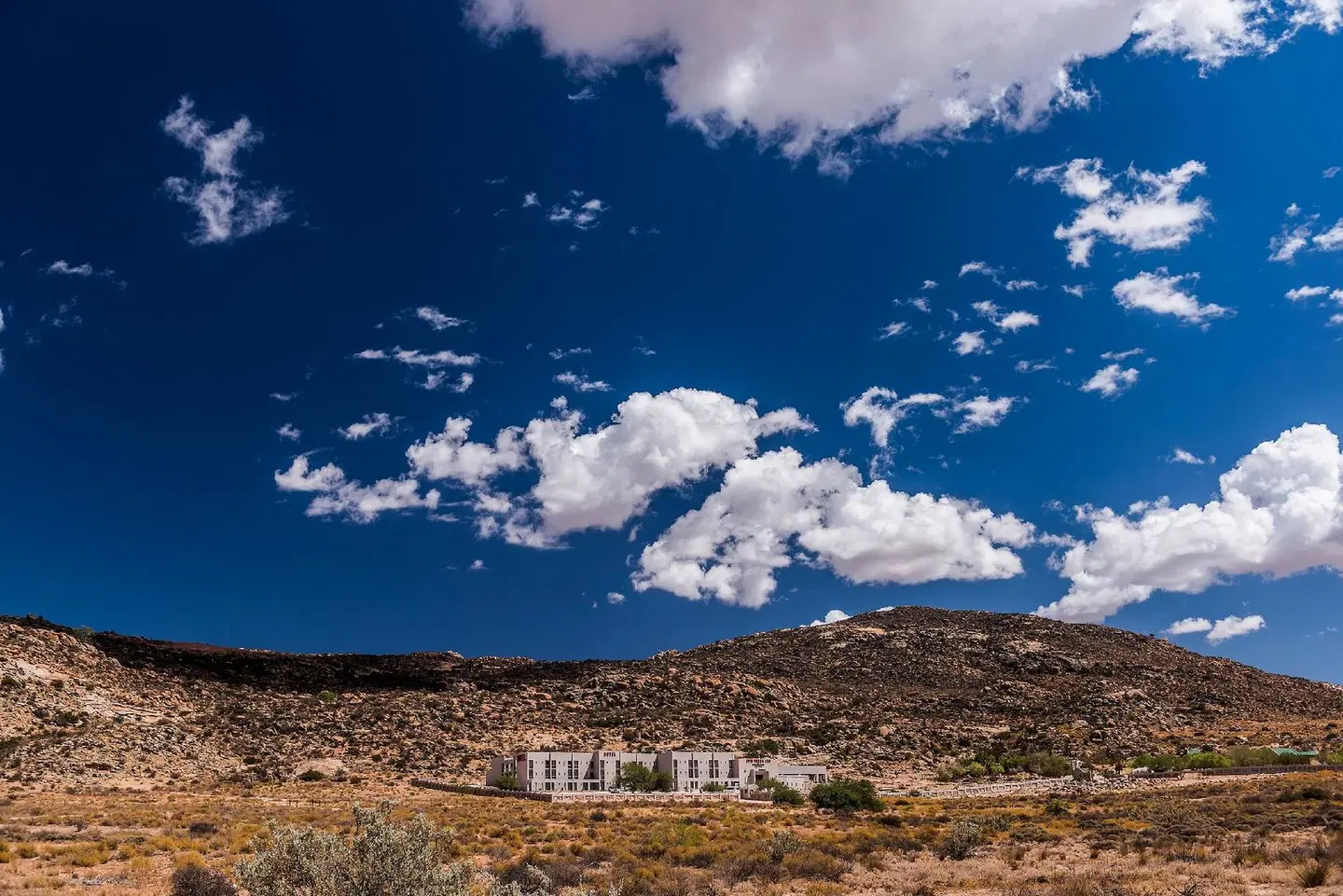 Springbok Inn LANDSCAPE