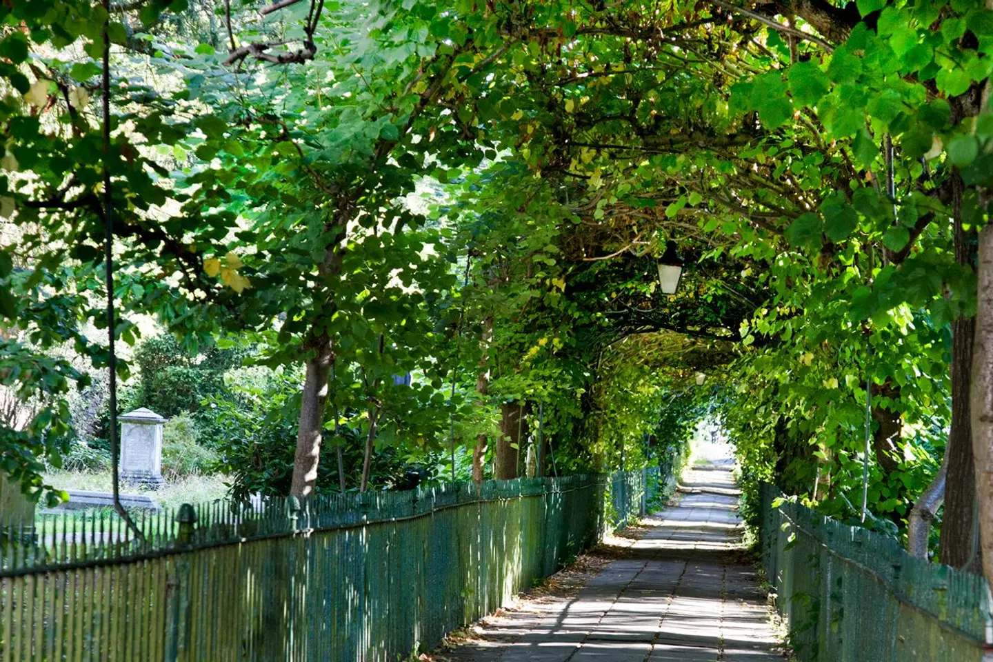 Victoria Square Hotel Clifton Village Garten