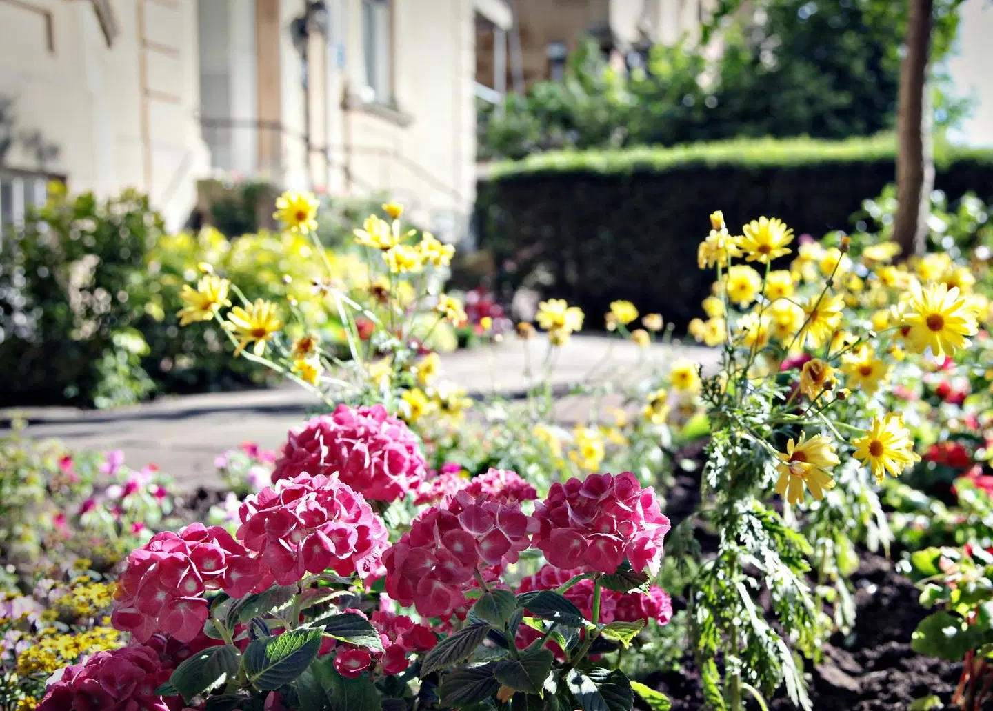 Victoria Square Hotel Clifton Village Garten