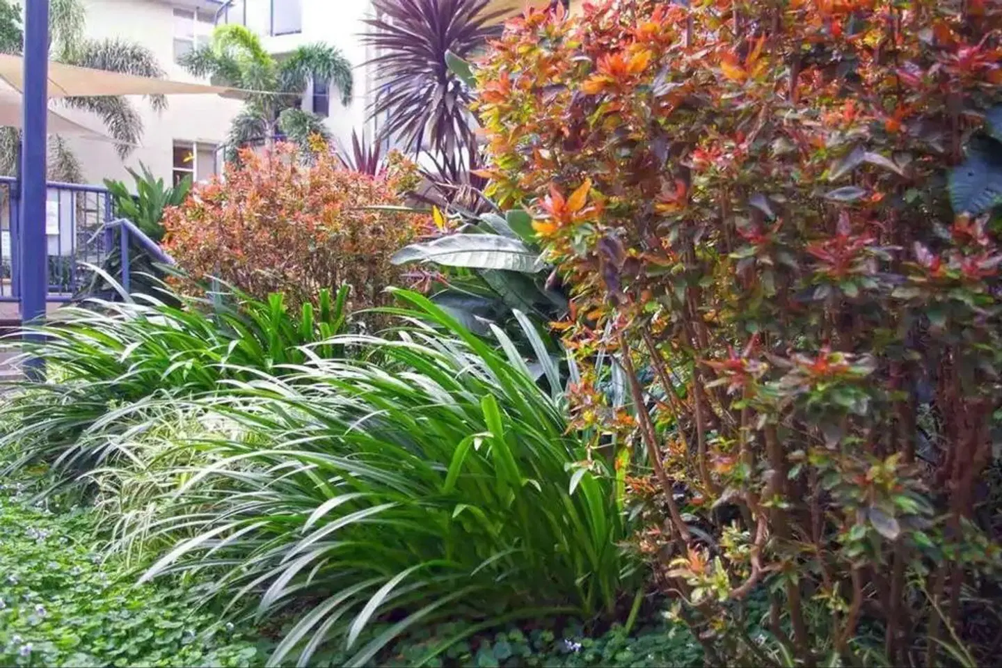 The Cove Yamba Garten