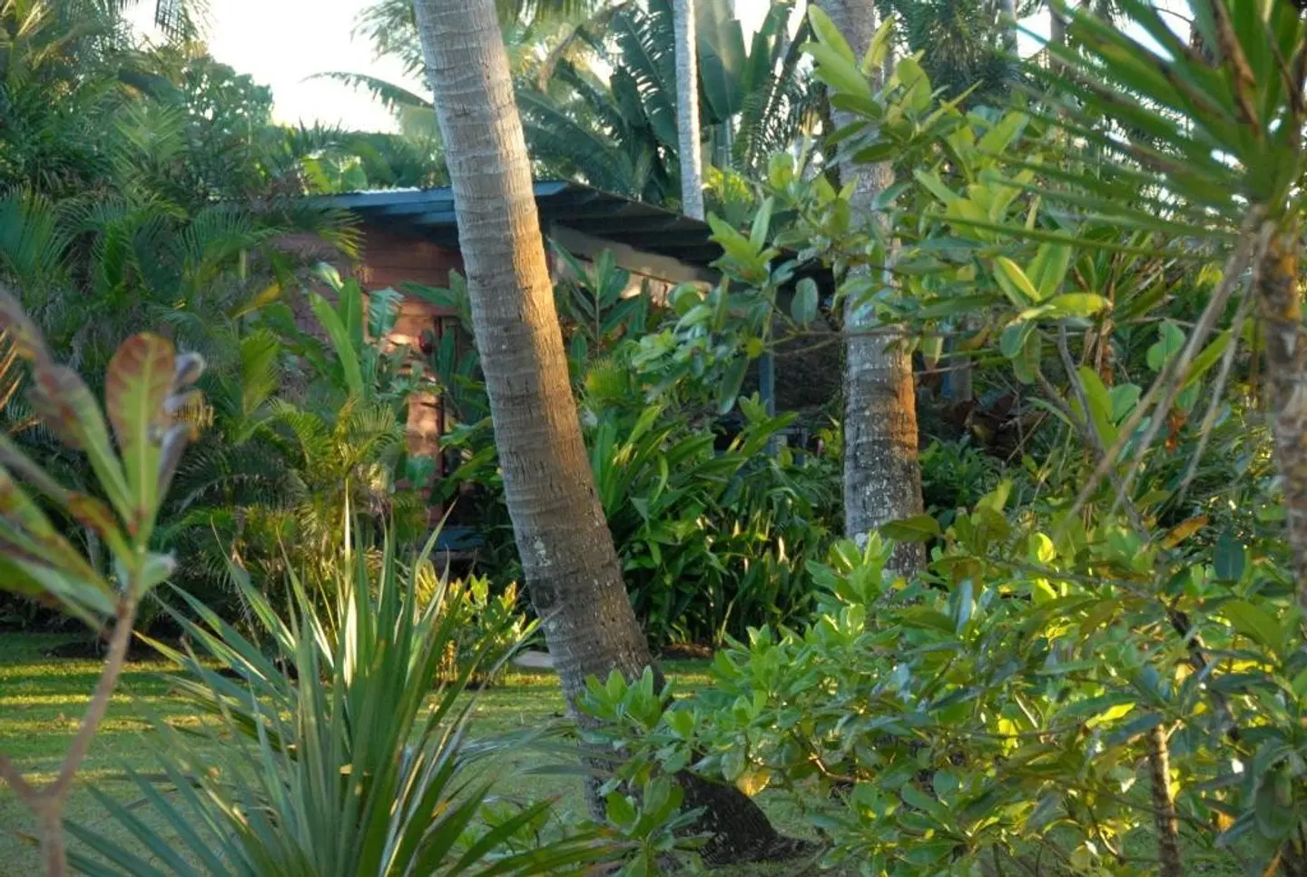 Sejala Beach Huts Garten