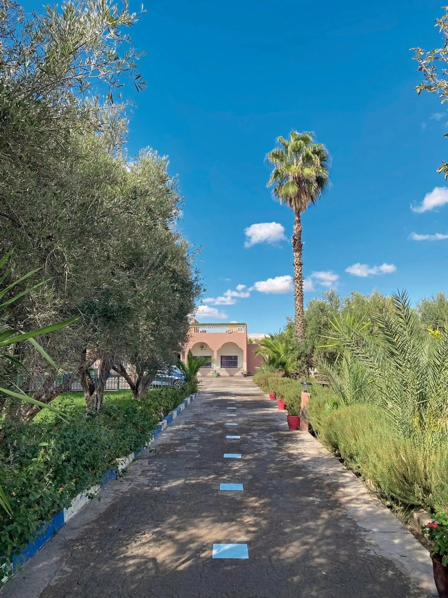 Riad Qodwa LANDSCAPE