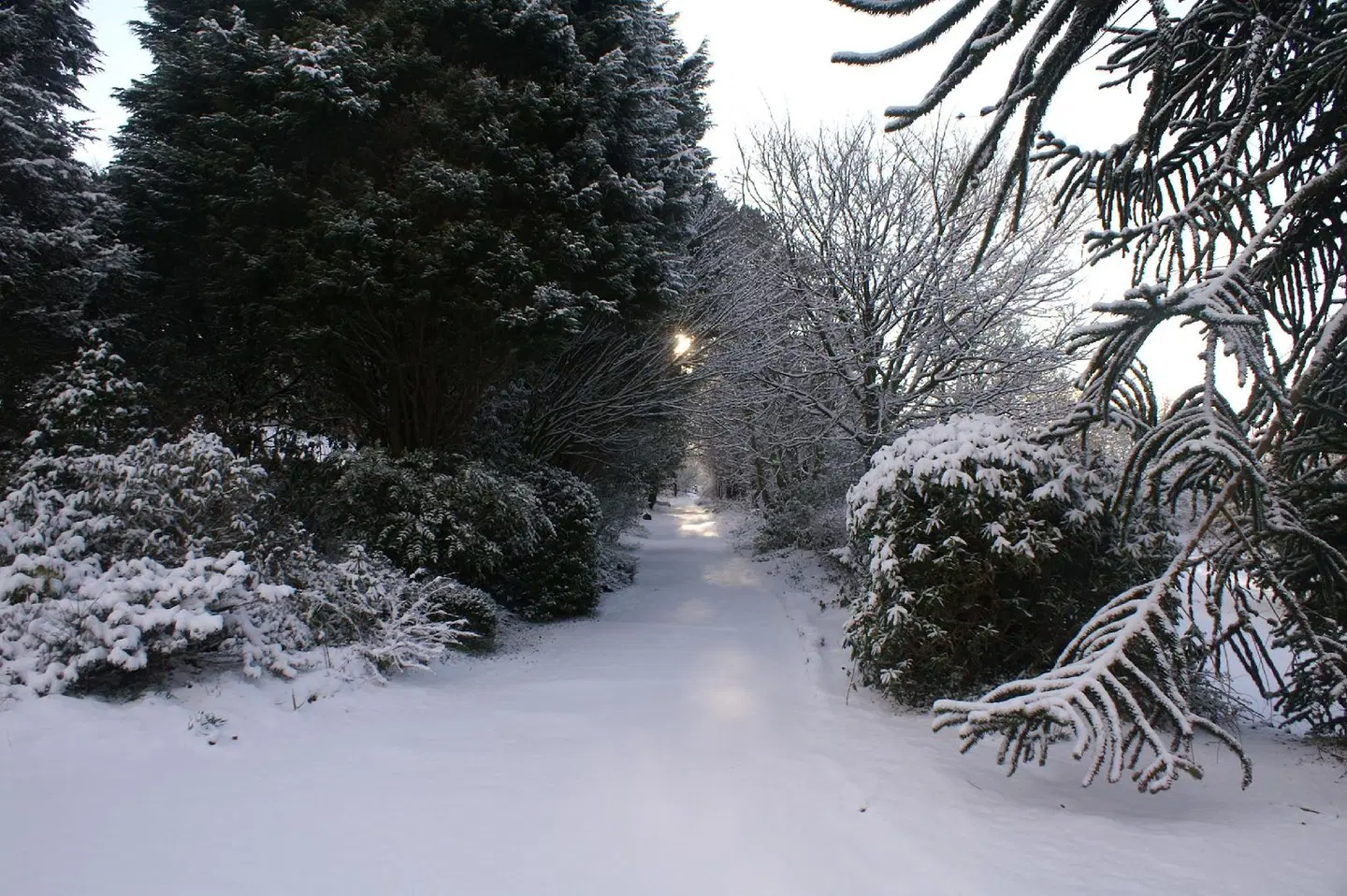 Moorlands Hotel Garten