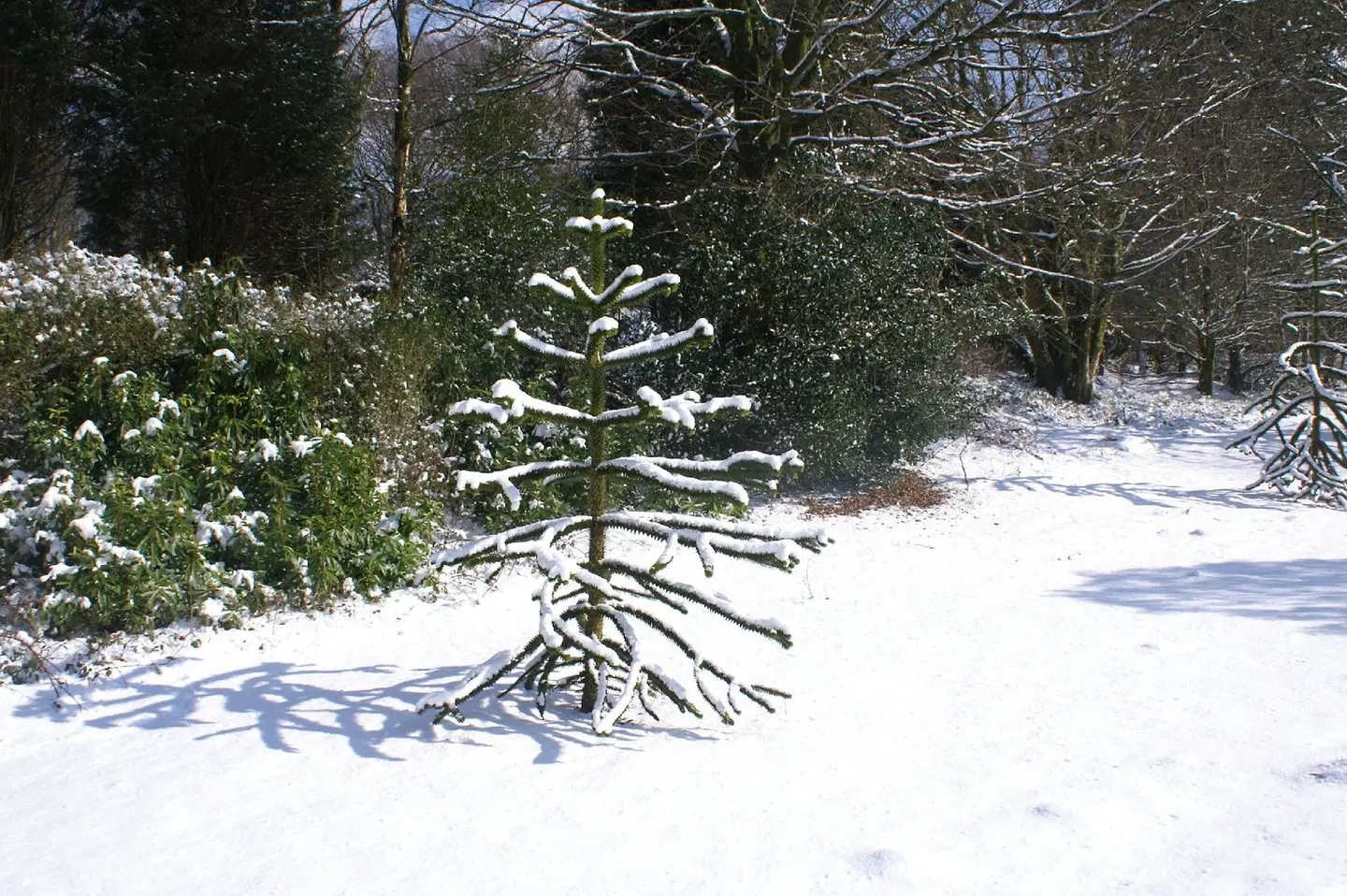 Moorlands Hotel Garten