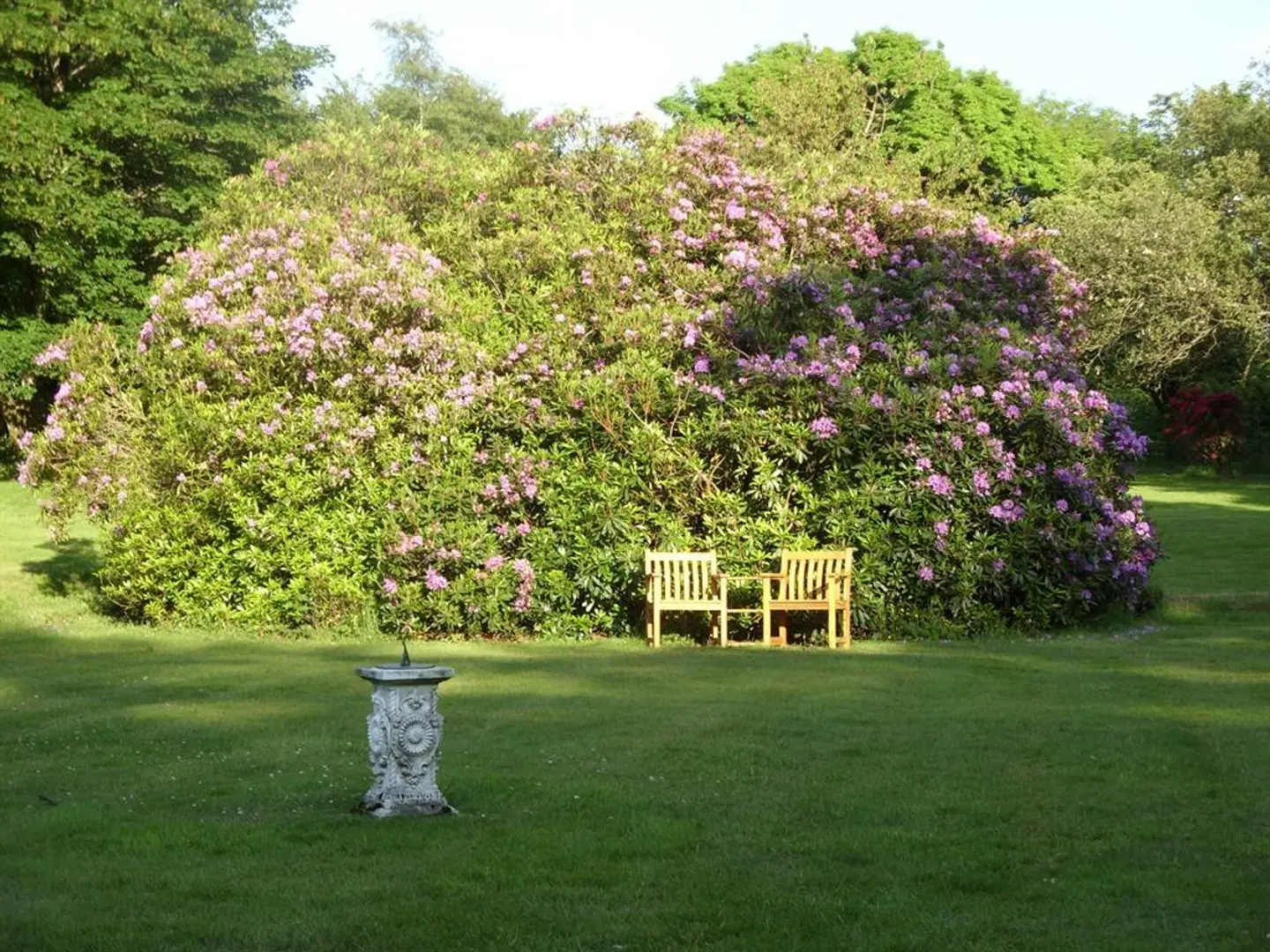 Moorlands Hotel Garten