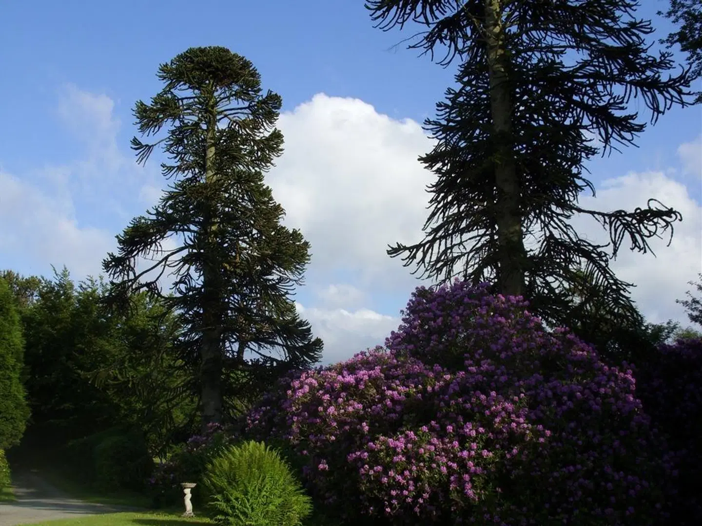 Moorlands Hotel Garten