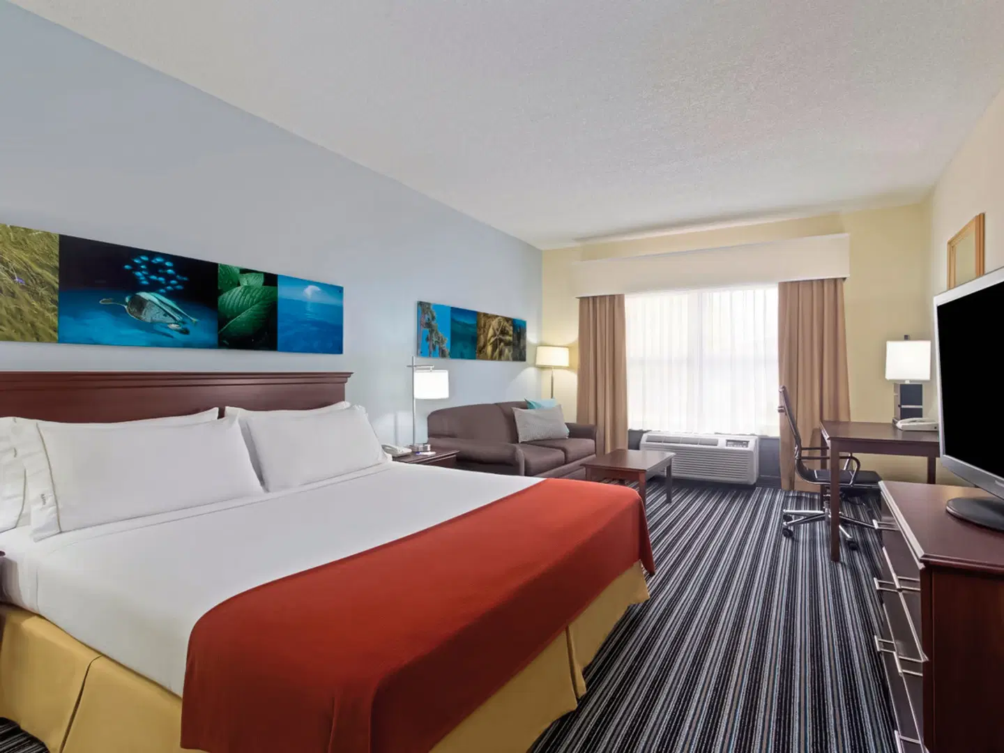 Holiday Inn Express & Suites Clearwater North - Dunedin ROOM_EXAMPLE