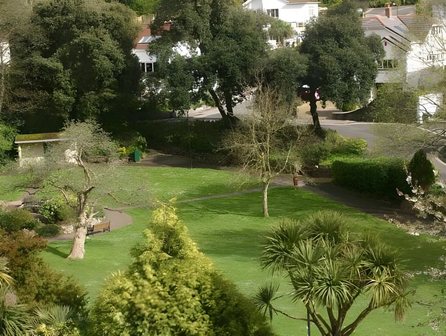 Palms Garten