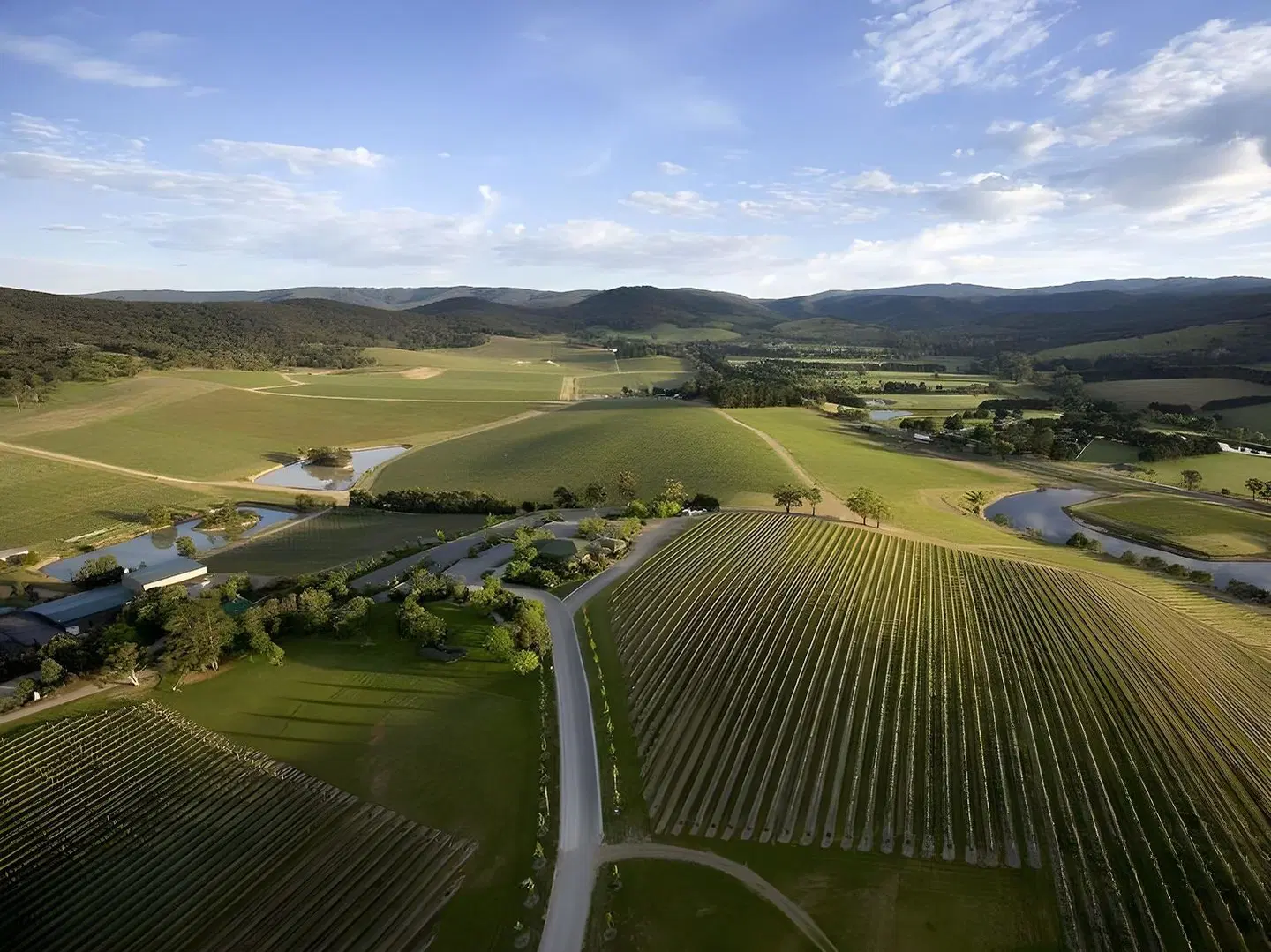 Lavender Farm SPORTS_AND_LEISURE