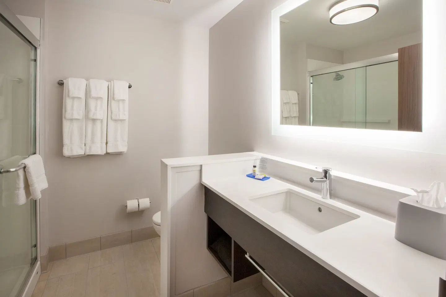 Holiday Inn Express & Suites Doral - Miami by IHG Badezimmer