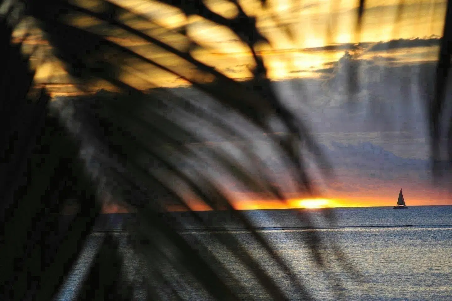 The Bay LANDSCAPE