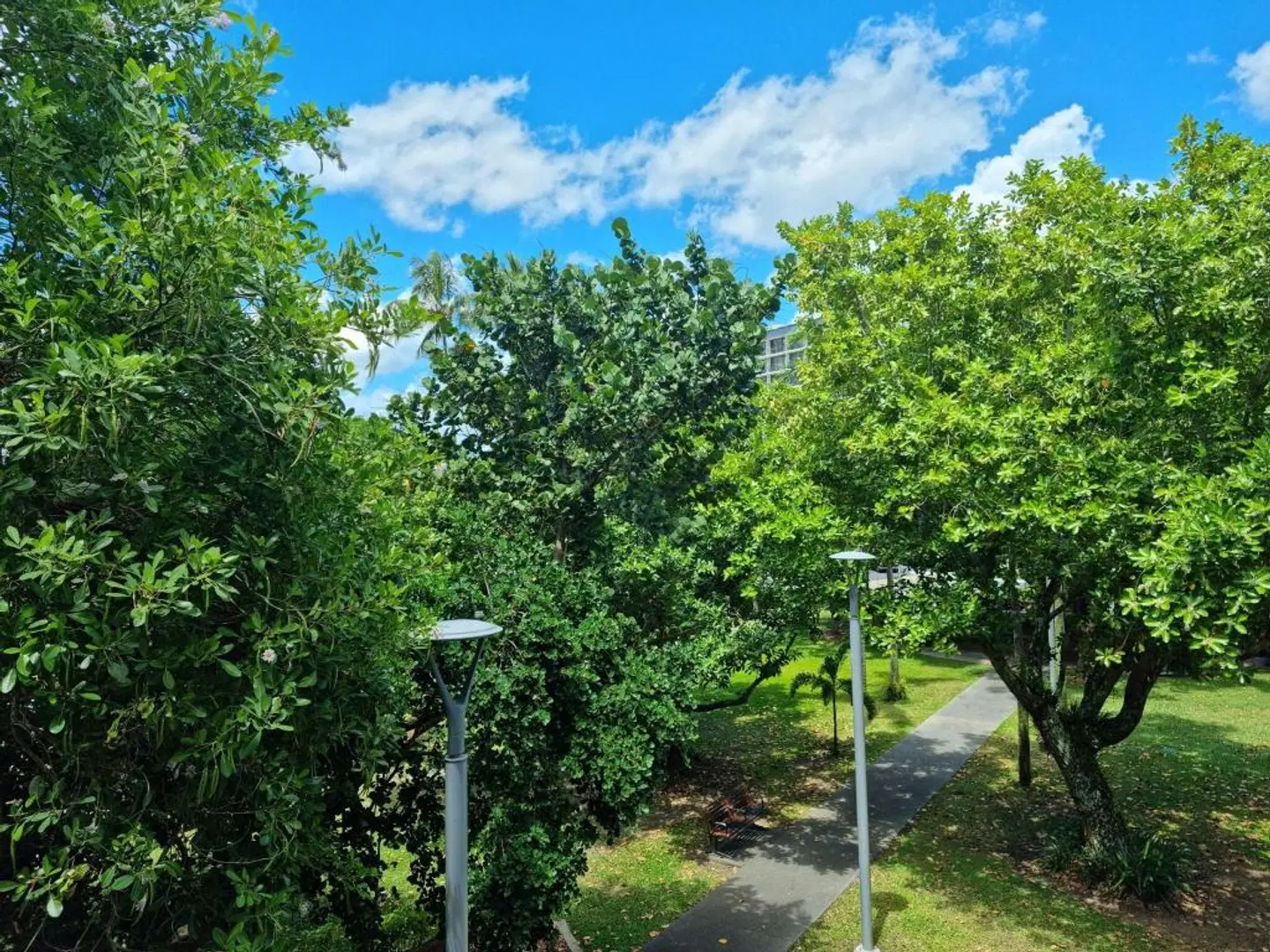 Cairns Private Apartments LANDSCAPE