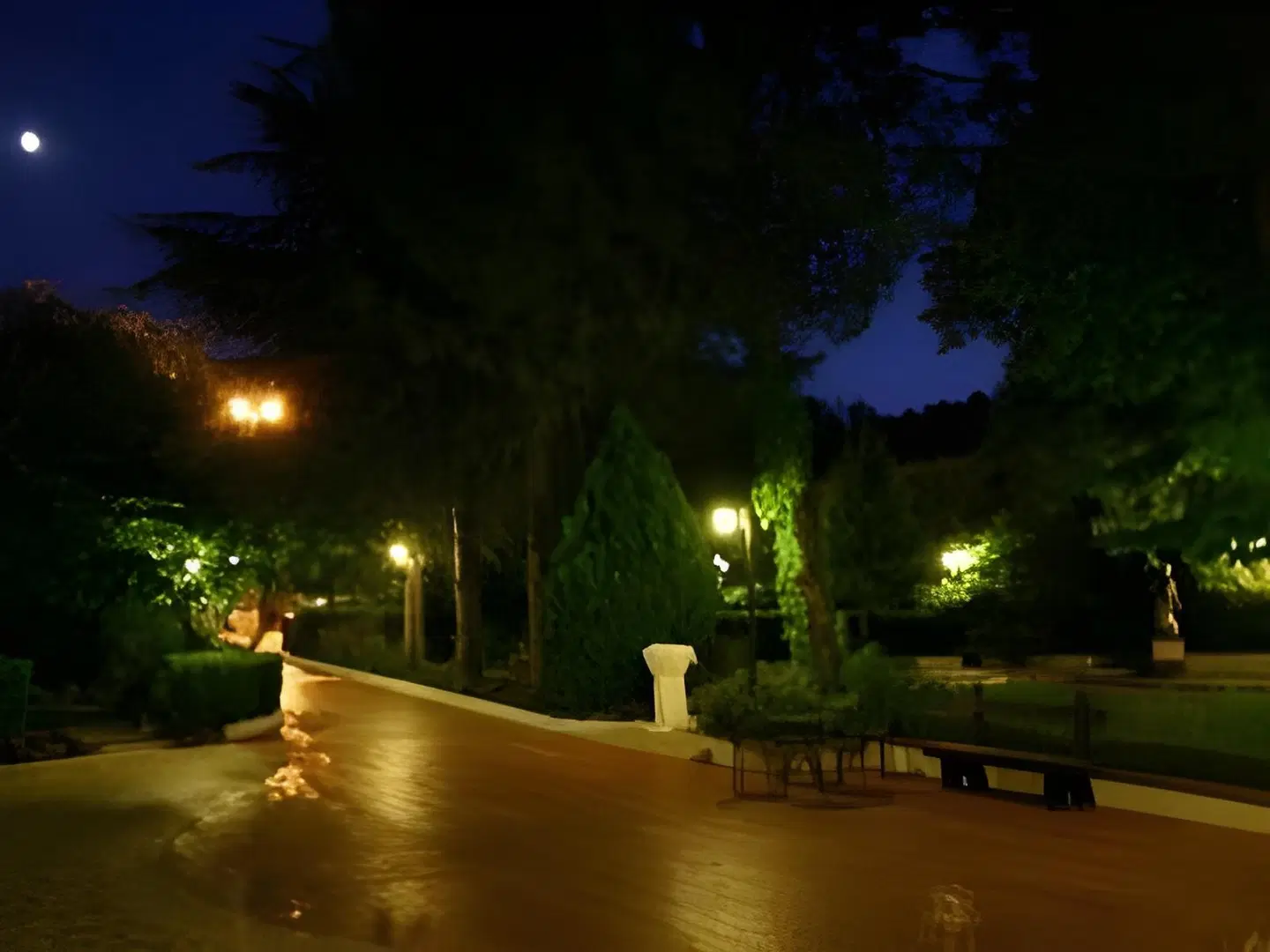 Albergo La Primula LOUNGE_LOBBY