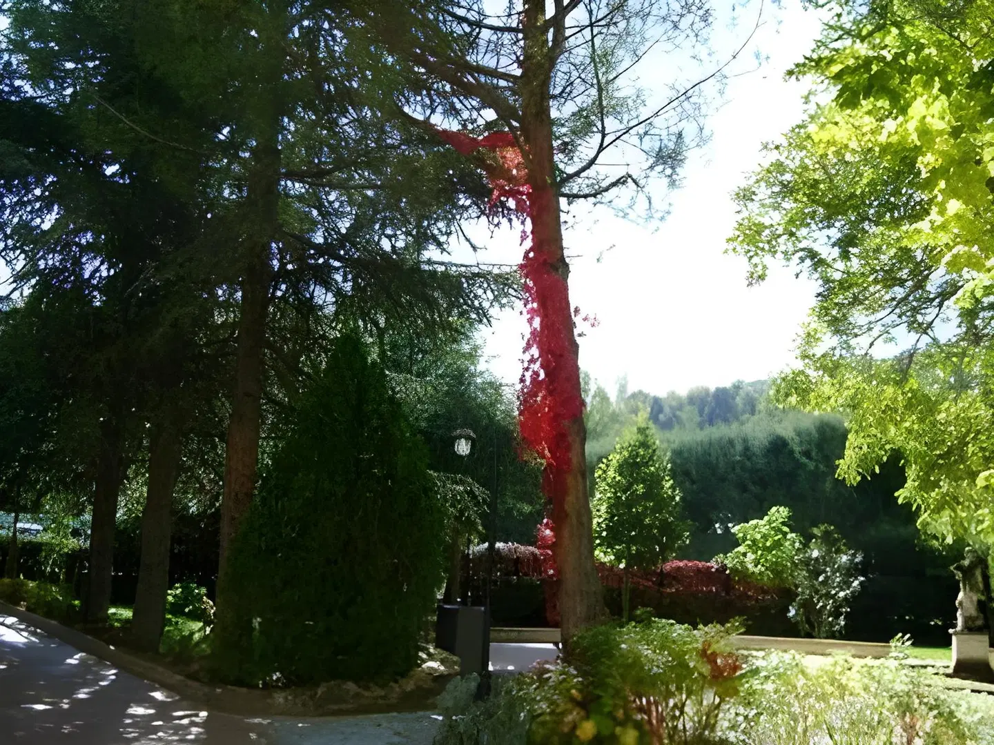 Albergo La Primula Garten