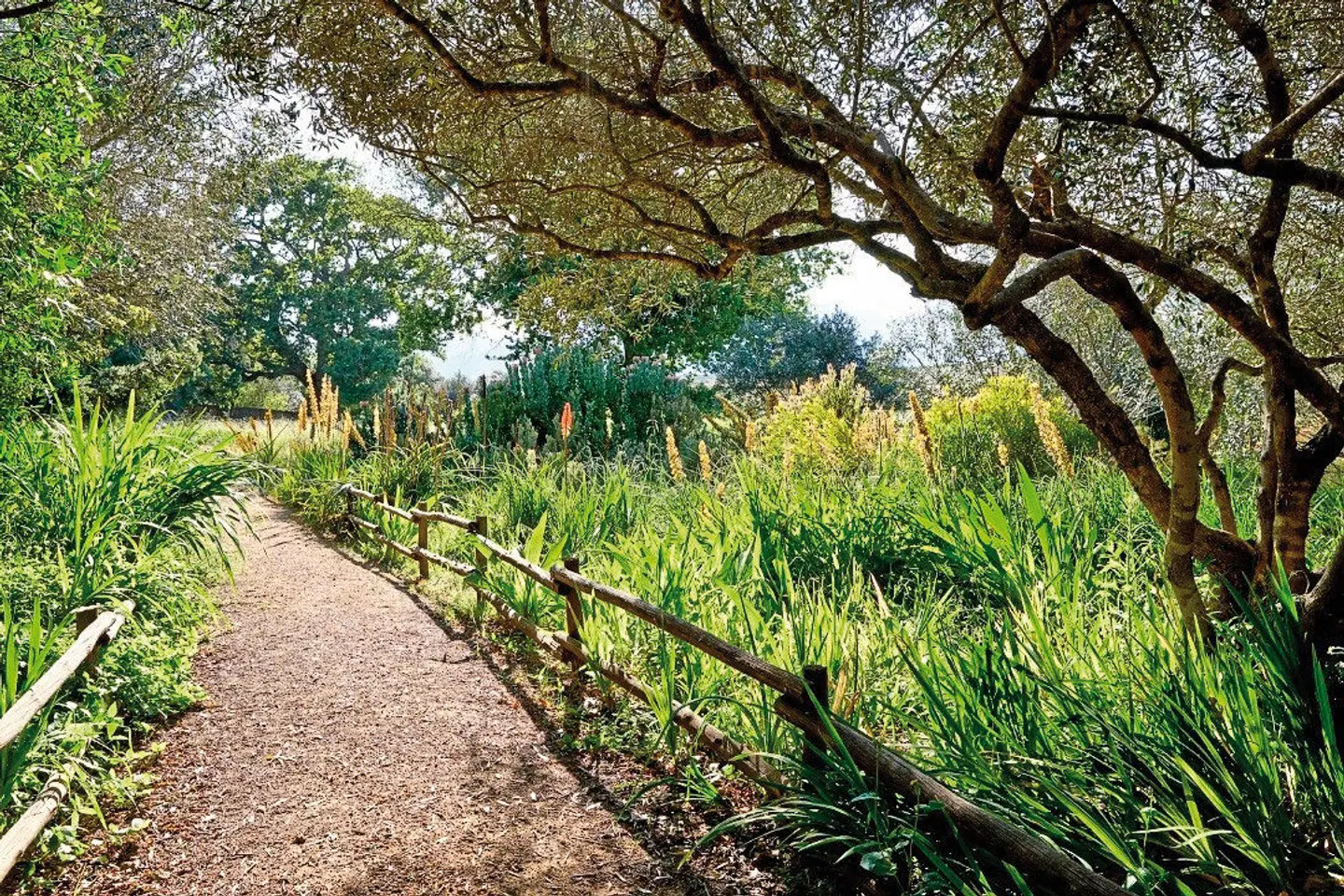Spier Hotel LANDSCAPE