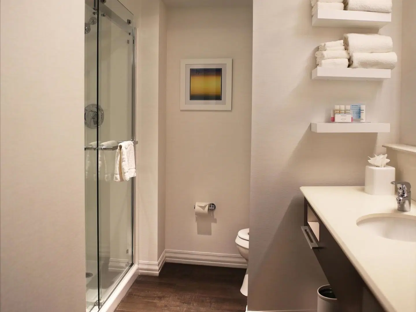 Hampton Inn Lexington Medical Center Badezimmer