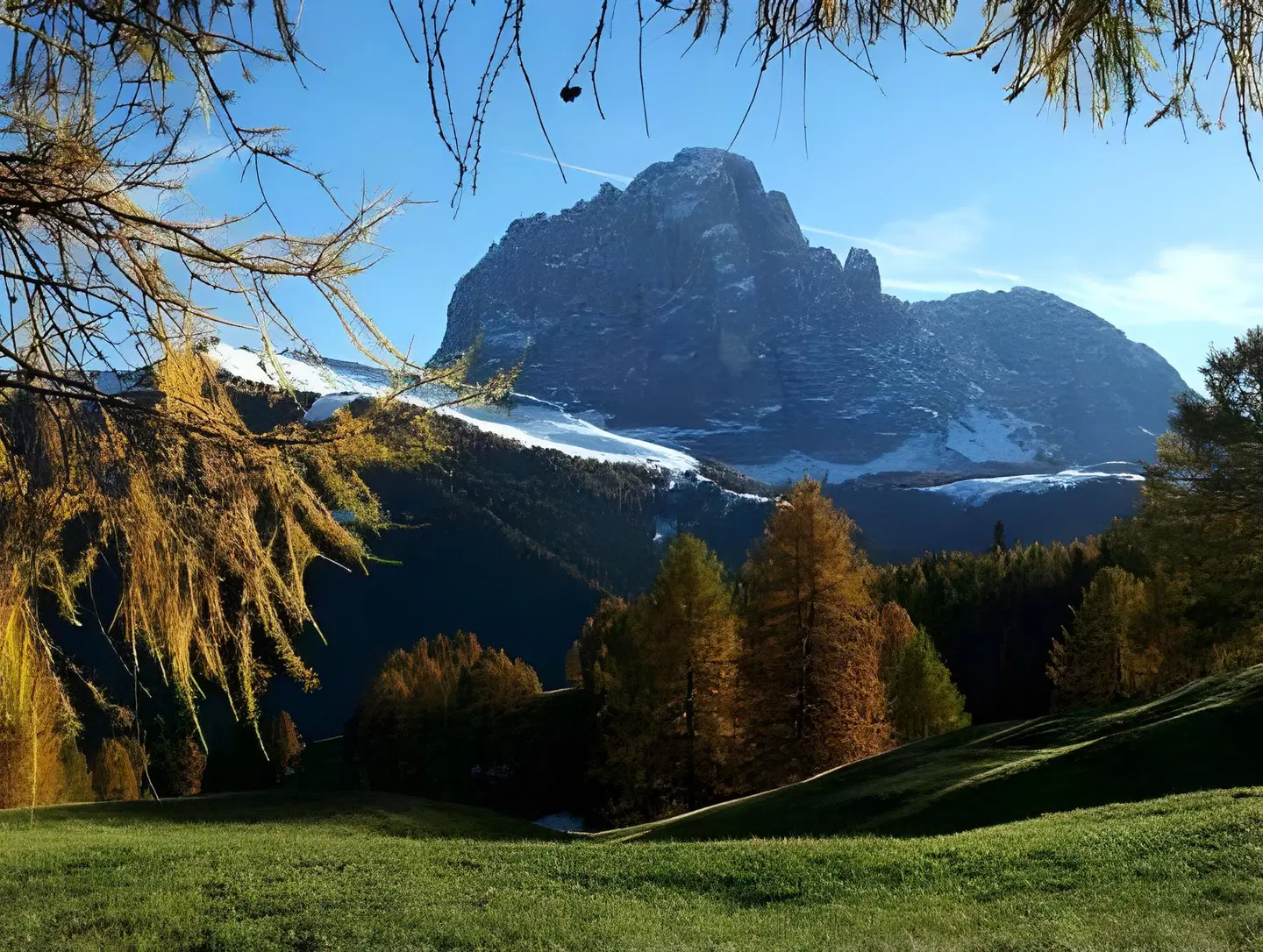 Chalet Alpina LANDSCAPE