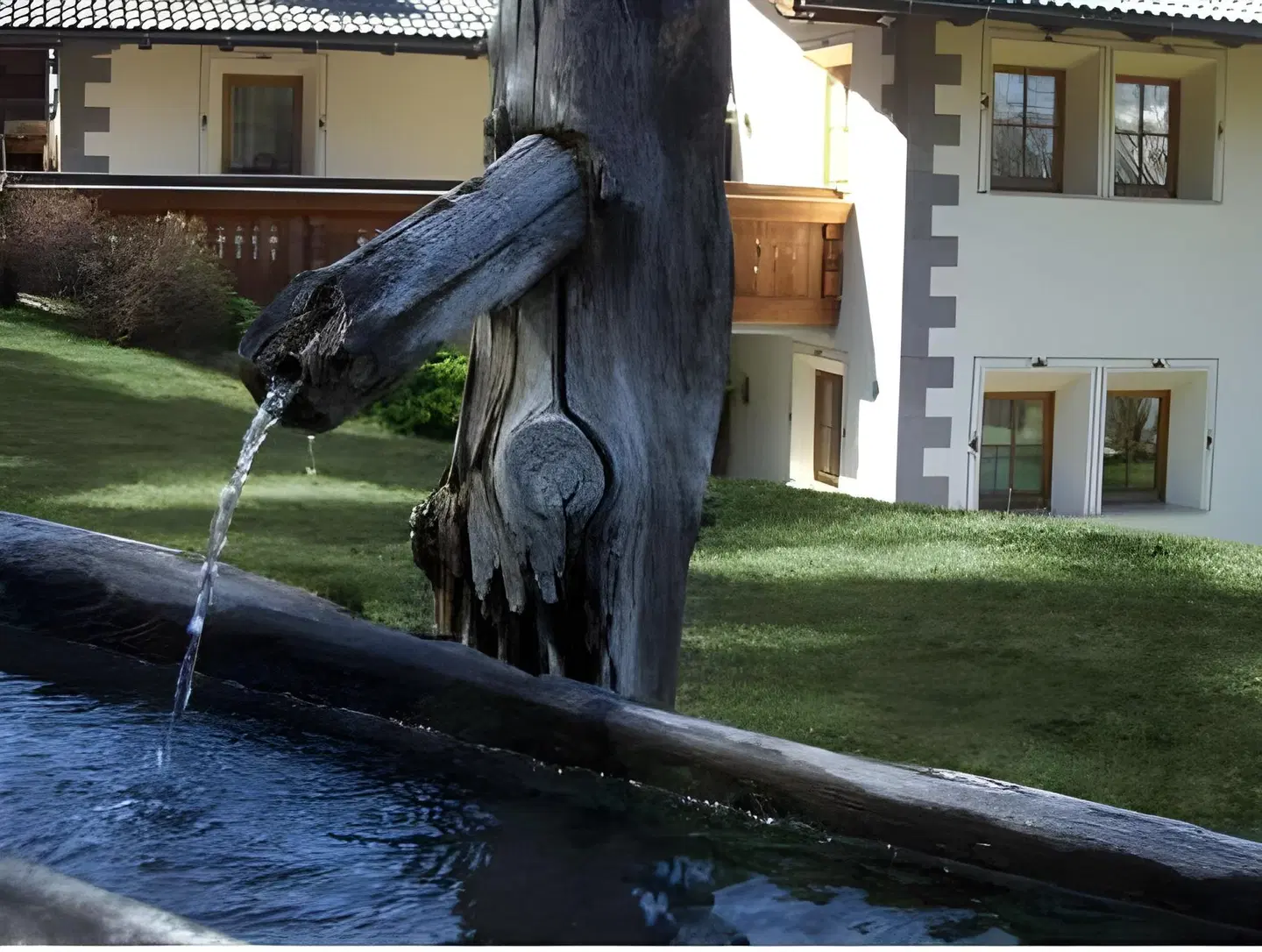 Chalet Alpina Tiere