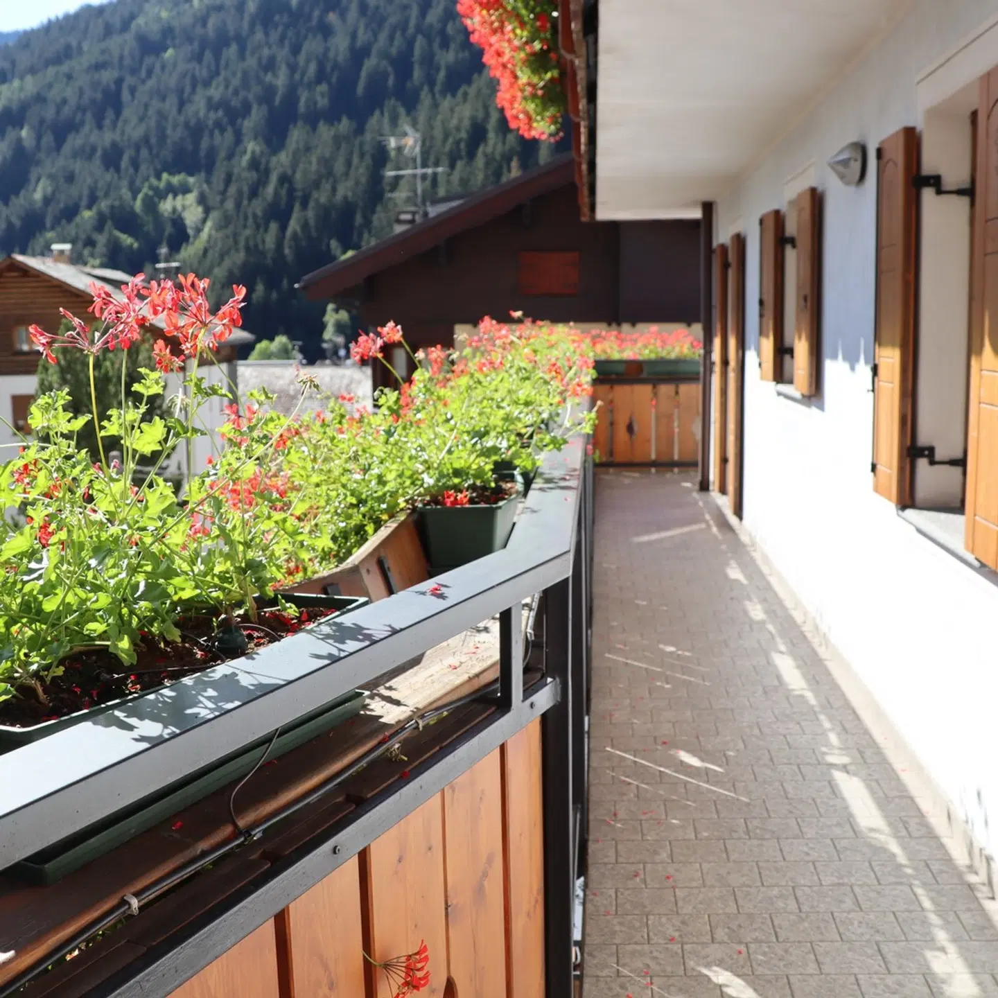 Residence Edelweiss Terrasse