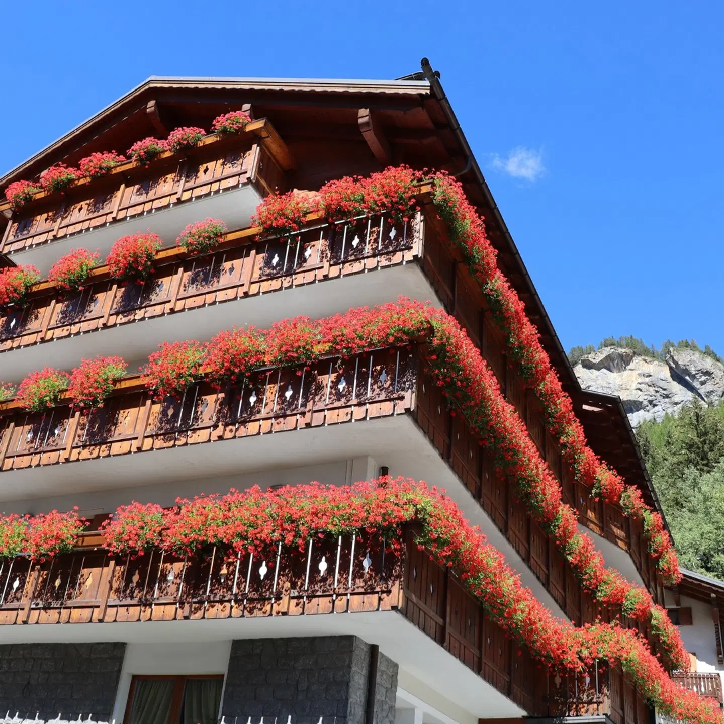 Residence Edelweiss EXTERIOR