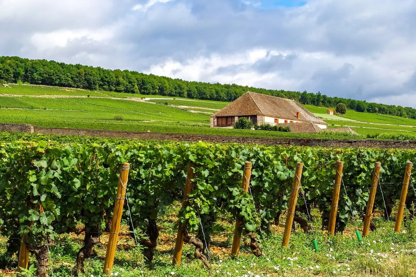 voco Beaune - Cité des Vins by IHG EXTERIOR