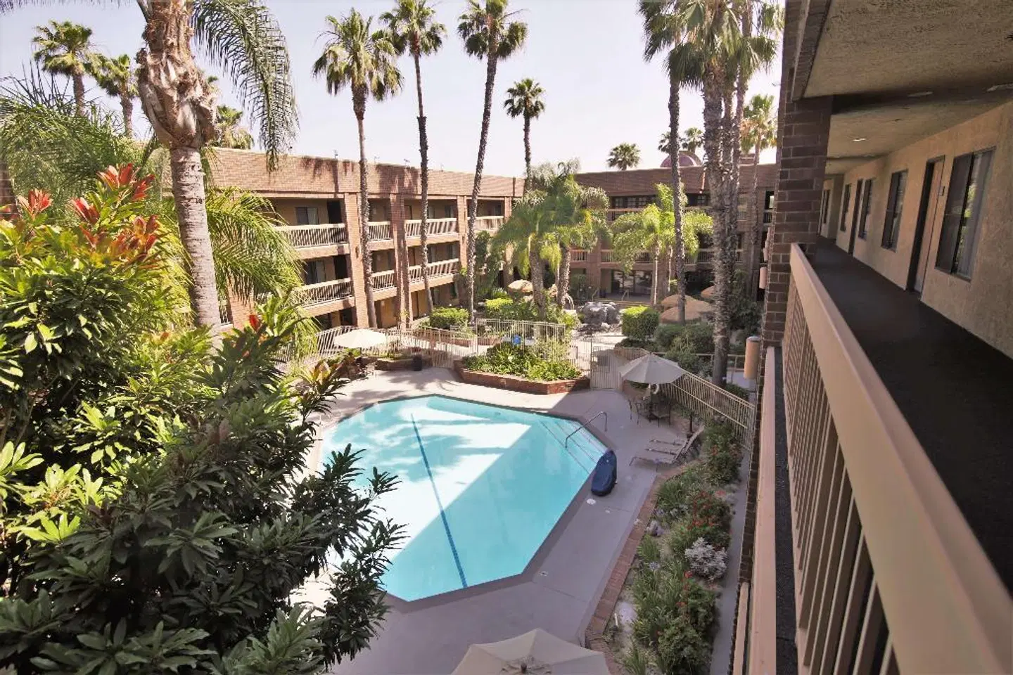Best Western Plus Meridian Inn & Suites Anaheim - Orange OUTDOOR_POOL