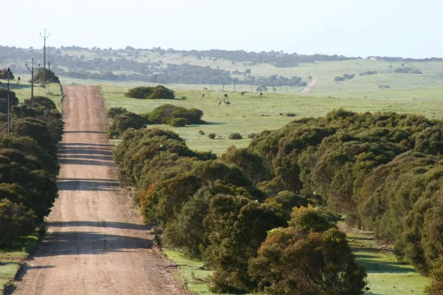 Almonta Park Lodge LANDSCAPE
