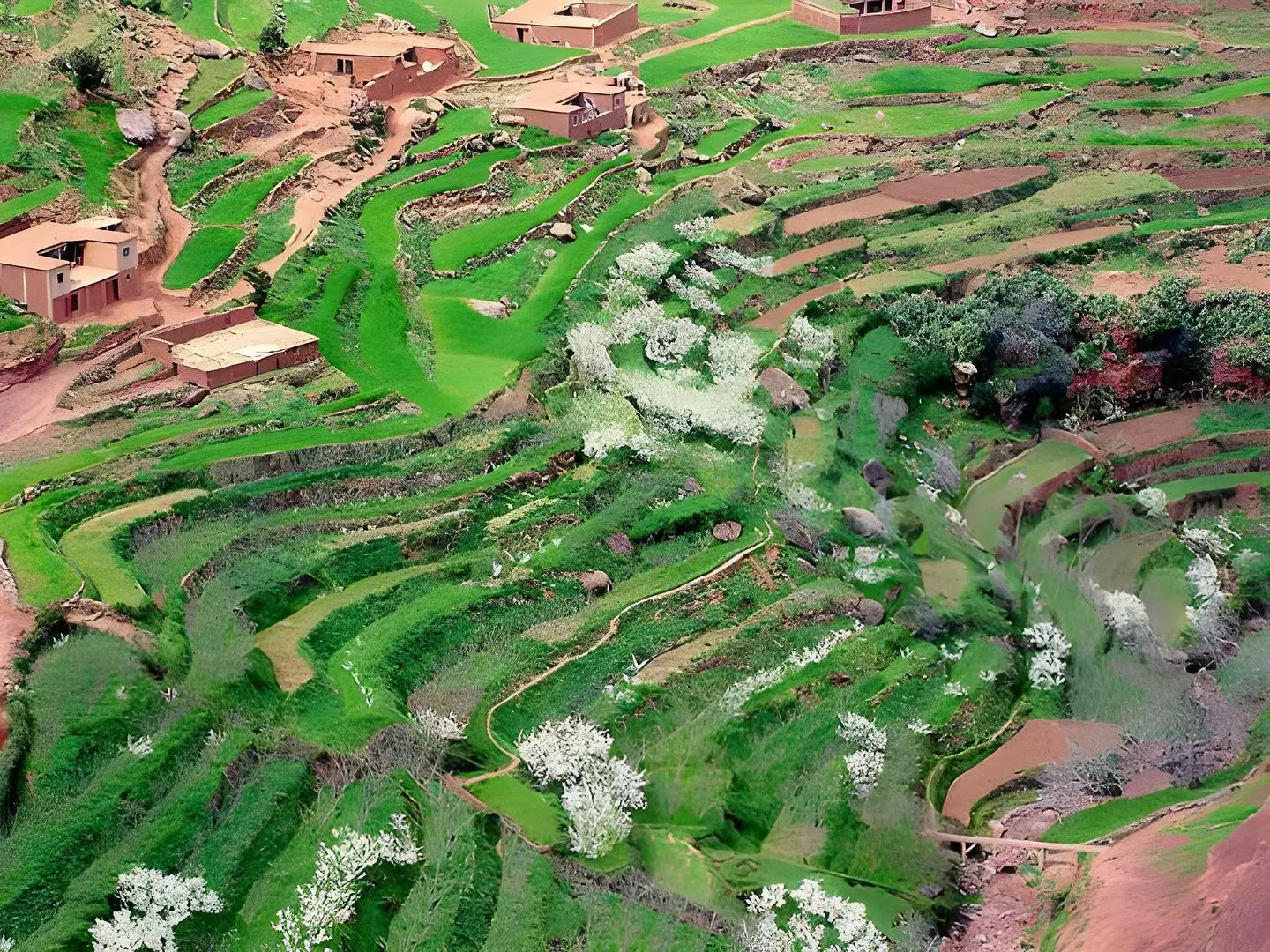 Riad Oussagou LANDSCAPE