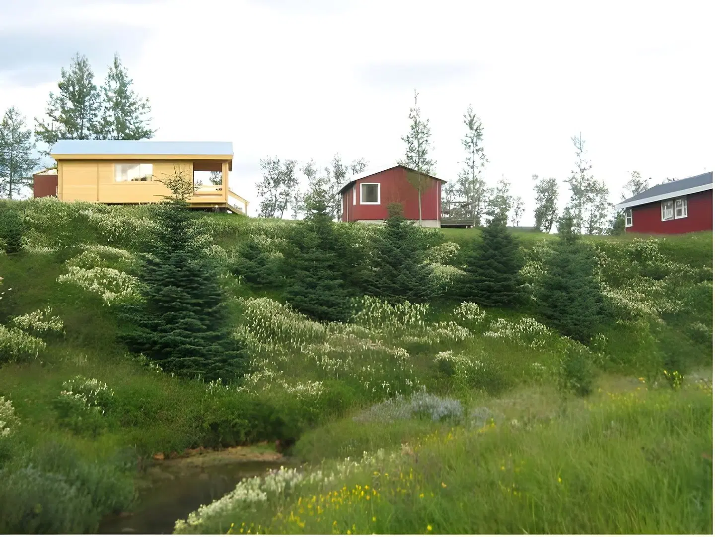 Hunkubakkar Guesthouse Garten