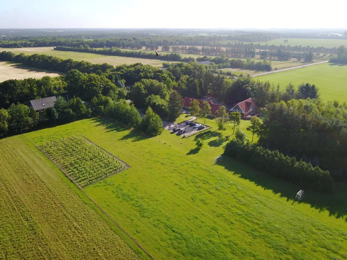 Egebjerggaard Bed & Breakfast LANDSCAPE
